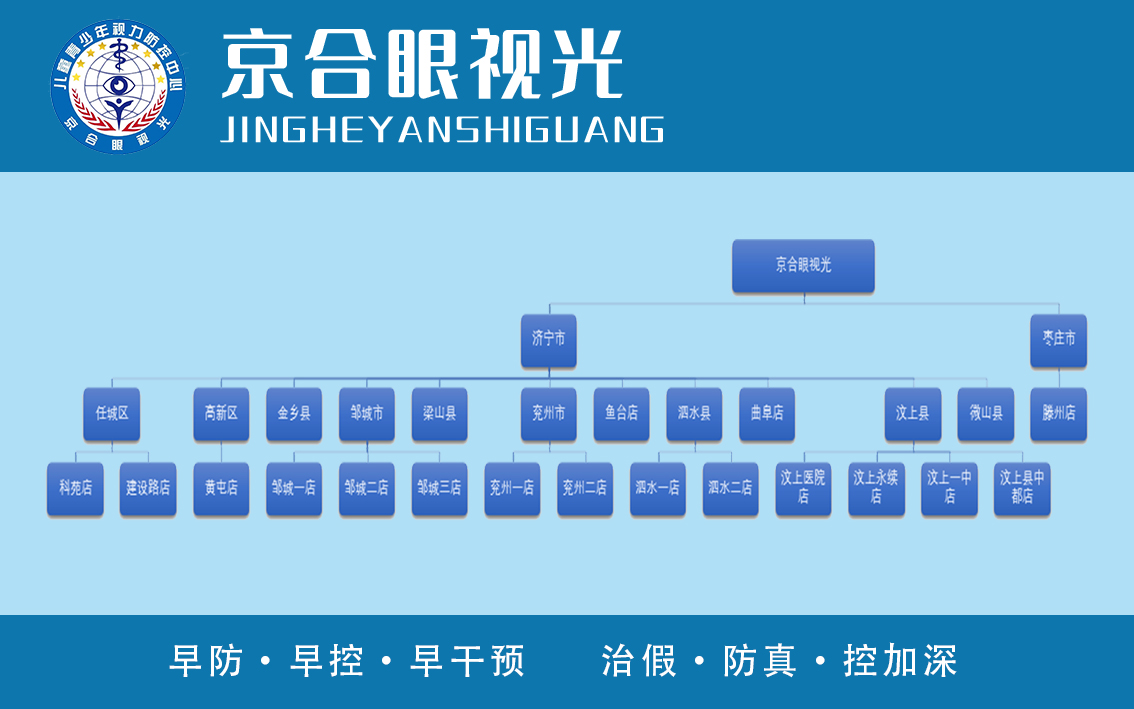 分支机构(图1)